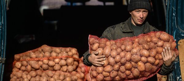 Торговля на рынке - Sputnik Молдова