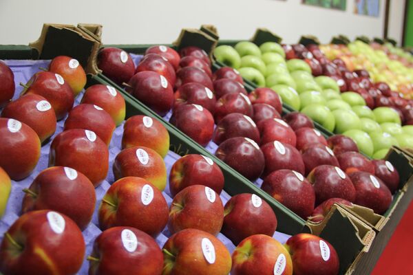 Молдавские яблоки на стенде Молдовы на выставке WorldFood Moscow Молдавские яблоки на стенде Молдовы на выставке WorldFood Moscow - Sputnik Молдова