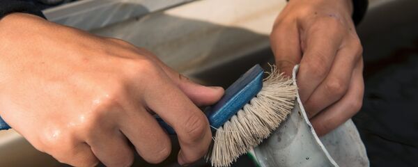 Muncă necalificată - Sputnik Moldova