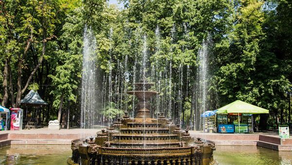 фонтан парк Пушкина havuz parcul central - Sputnik Moldova