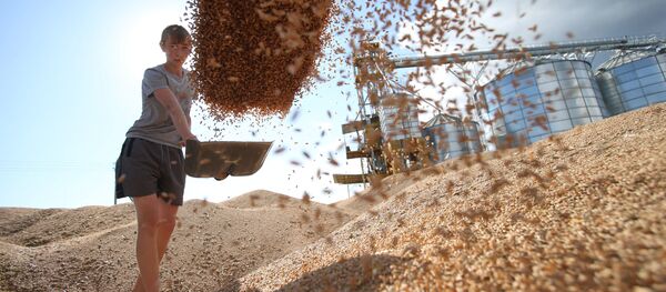 Cereale, siloz - Sputnik Moldova