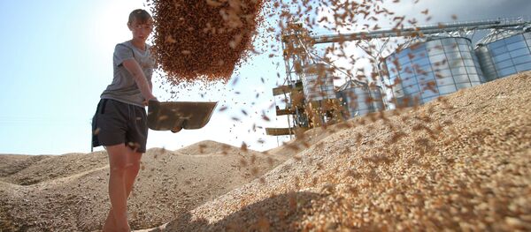 Cereale, siloz - Sputnik Молдова