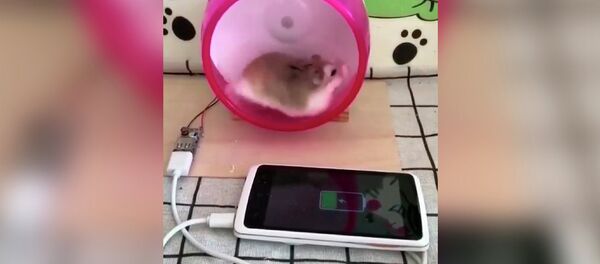 Спортсмен - Sputnik Молдова