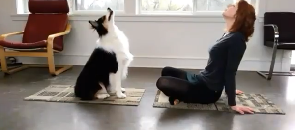 Мэри и Сикрет - йога для двоих - Sputnik Молдова