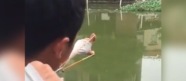 Рыбалка Рыбалка - Sputnik Молдова