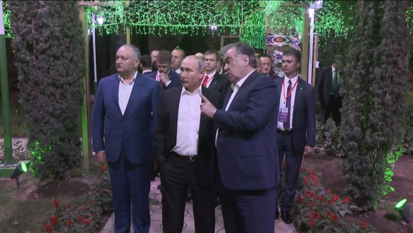 Назарбаеву - лимоны, Додону - яблоки: главы СНГ оценили таджикские фрукты - Sputnik Молдова
