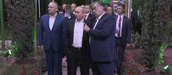 Назарбаеву - лимоны, Додону - яблоки: главы СНГ оценили таджикские фрукты - Sputnik Молдова