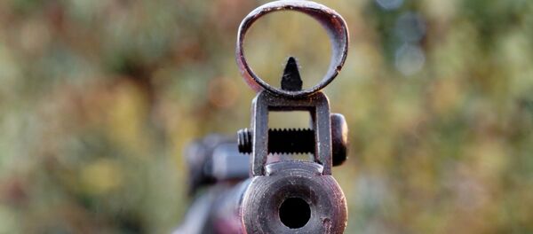 Ружье Ружье - Sputnik Moldova