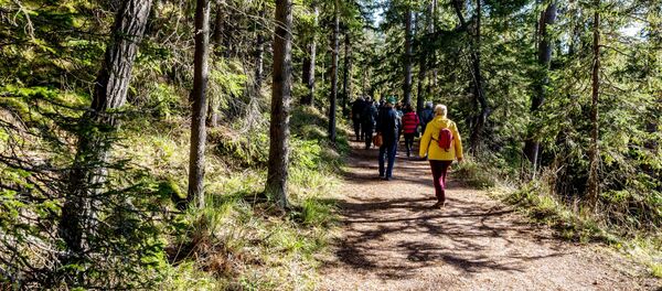 Туристы на острове Валаам - Sputnik Молдова