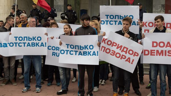 протест у минсельхоза protest la ministerul agriculturii - Sputnik Молдова