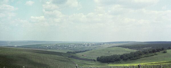 Виноградники Молдавии. - Sputnik Молдова