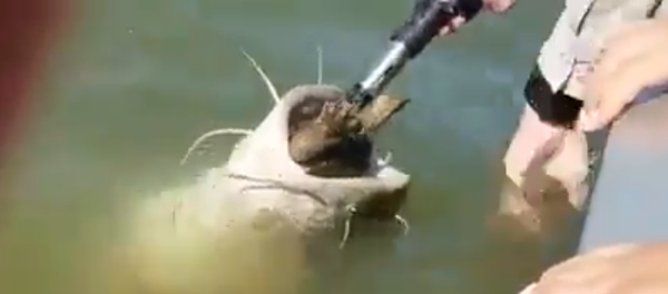 Что здесь происходит? - Sputnik Молдова