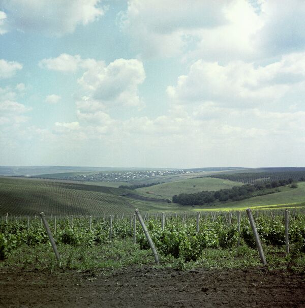 Bine ati venit - по уровню безопасности для туристов Молдова обошла полмира Bine ati venit - по уровню безопасности для туристов Молдова обошла полмира - Sputnik Молдова