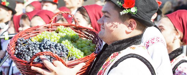 День вина в Кишиневе День вина в Кишиневе - Sputnik Молдова