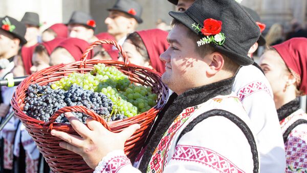 Молдавский виноград, иллюстративное фото.  - Sputnik Молдова