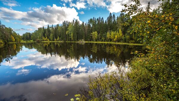 Никоновское озеро рядом с Гефсиманским скитом - Sputnik Молдова