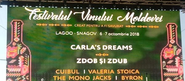 Sărbătoarea Vinului la Snagov - Sputnik Moldova