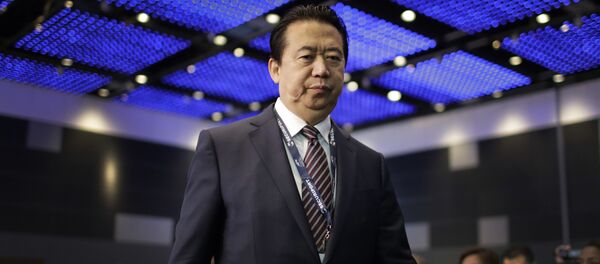 Мэн Хунвэй Мэн Хунвэй - Sputnik Молдова