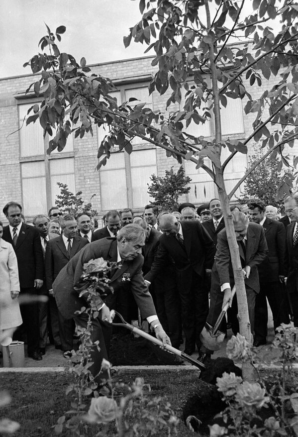 Secretarul general al PC al URSS L. I. Brejnev (în centru) sădește primul pom de pe aleea verde de la EREN a RSSM - Sputnik Moldova