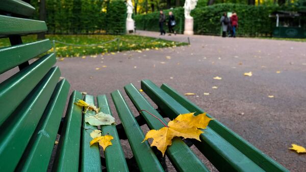Листья на лавочке в Летнем саду в Санкт-Петербурге - Sputnik Молдова