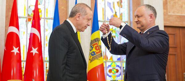 Президент Молдовы вручил лидеру Турции наивысшую госнаграду республики - Sputnik Moldova