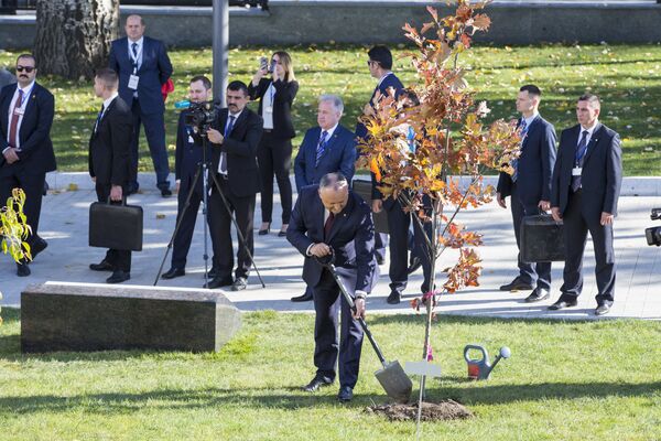 Игорь Додон сажает дерево перед отреставрированным зданием резиденции президента Молдовы. - Sputnik Молдова