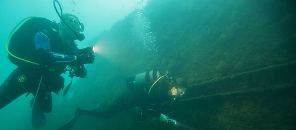 Mare - Imagine Simbol Mare - Imagine Simbol - Sputnik Moldova-România