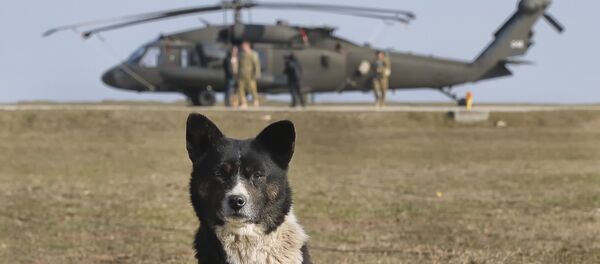 Nato -  Atlantic Resolve - Sputnik Moldova