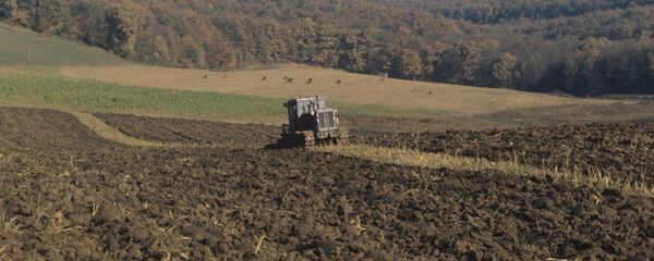 Осенняя вспашка поля в окрестностях села Каприяны. - Sputnik Молдова