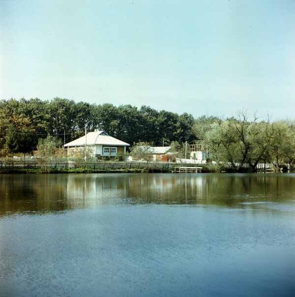 Озеро в лесу. Село Кодры. Молдавская ССР, 1978 год. - Sputnik Молдова
