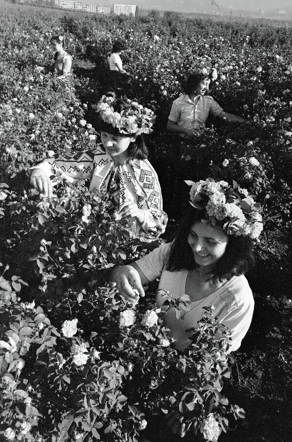 Молдавская Припять, или Жуткая картина сел-призраков в республике - Sputnik Молдова