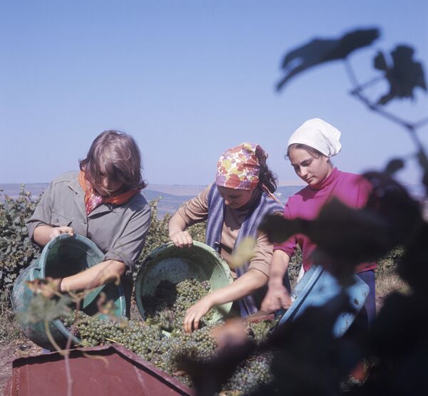 Молдавская Припять, или Жуткая картина сел-призраков в республике - Sputnik Молдова