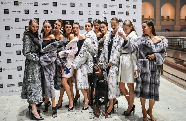 Модели с доберманом перед показом одежды из новой коллекции салона Manzari Gold в рамках недели моды Moscow Fashion Week в Москве - Sputnik Молдова