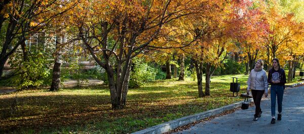 Девушки на улице в городе Березники - Sputnik Молдова