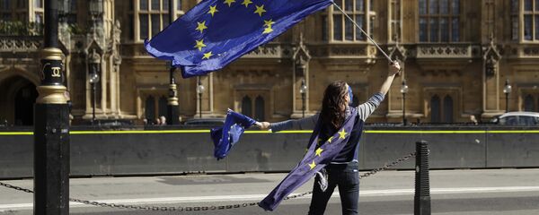 A pro-remain supporter of Britain staying in the EU, holds up an EU flag whilst taking part in an anti-Brexit protest outside the Houses of Parliament in London (File) A pro-remain supporter of Britain staying in the EU, holds up an EU flag whilst taking part in an anti-Brexit protest outside the Houses of Parliament in London (File) - Sputnik Moldova-România