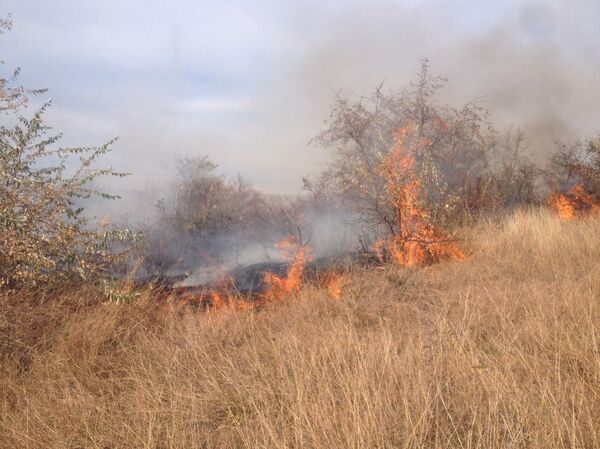 Пожар не напугал зрителей автокросса в Колонице Пожар не напугал зрителей автокросса в Колонице - Sputnik Молдова