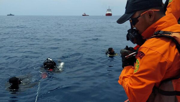 Un avion cu 188 de persoane la bord s-a brăbușit  în Indonezia - Sputnik Moldova-România