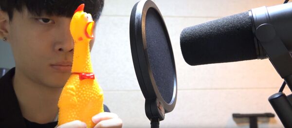 ДЕСПАСИТО поёт курица - Sputnik Молдова