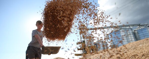 Cereale, siloz - Sputnik Moldova