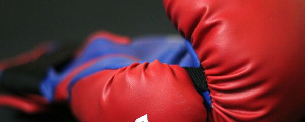 Боксерские перчатки Боксерские перчатки - Sputnik Молдова