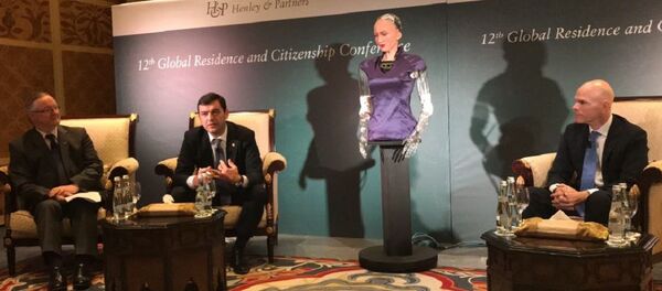 Министр экономики и инфраструктуры Молдовы Кирилл Габурич и робот София во время рабочего визита в Дубай - Sputnik Молдова