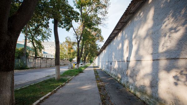 Деревья в городе, архивное фото.  - Sputnik Молдова