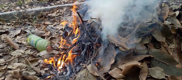 Почему опасно сжигать листву — факты, которые вы могли не знать - Sputnik Молдова