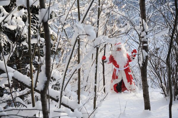 Дед Мороз в зимнем подмосковном лесу - Sputnik Moldova