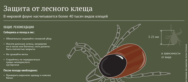 Защита от лесного клеща - Sputnik Молдова