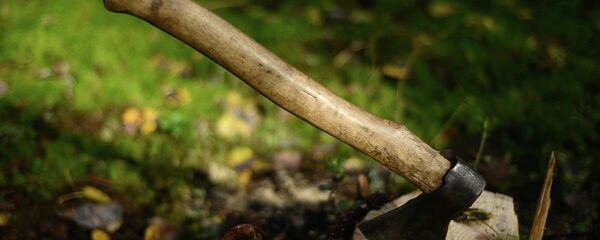 米国、100歳の夫が妻を斧で殺害し、自殺 - Sputnik Moldova