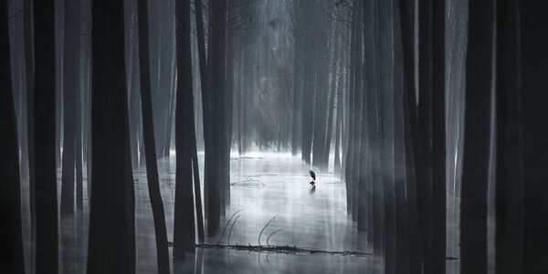 Снимок Las Sombras Del Pantano фотографа Mariano Belmar Torrecilla, вошедший в ТОП-50 категории Open Built Environment конкурса the EPSON International Pano Awards 2018 - Sputnik Молдова