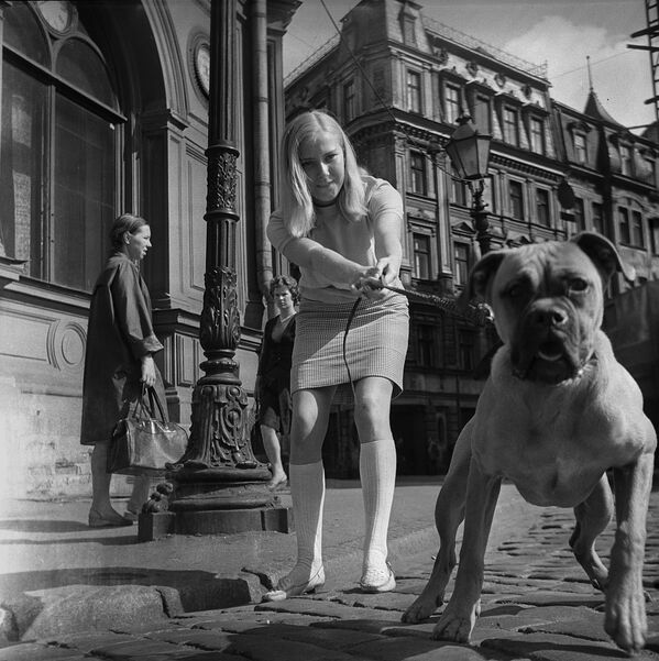 Девушка с собакой на улице Риги, Латвийская ССР. 1968 год - Sputnik Молдова