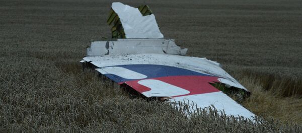 Крушение малайзийского Boeing на Украине. Архивное фото - Sputnik Молдова