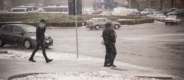 Снег  - Sputnik Moldova-România